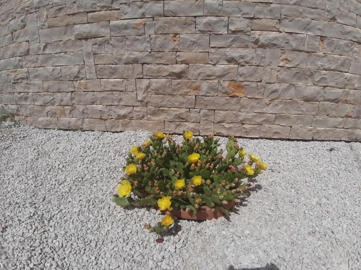 Vila Pan Zadar Ngoại thất bức ảnh