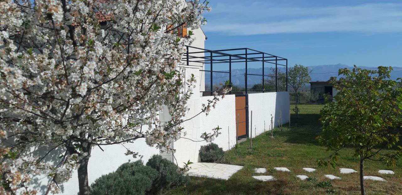 Vila Pan Zadar Ngoại thất bức ảnh