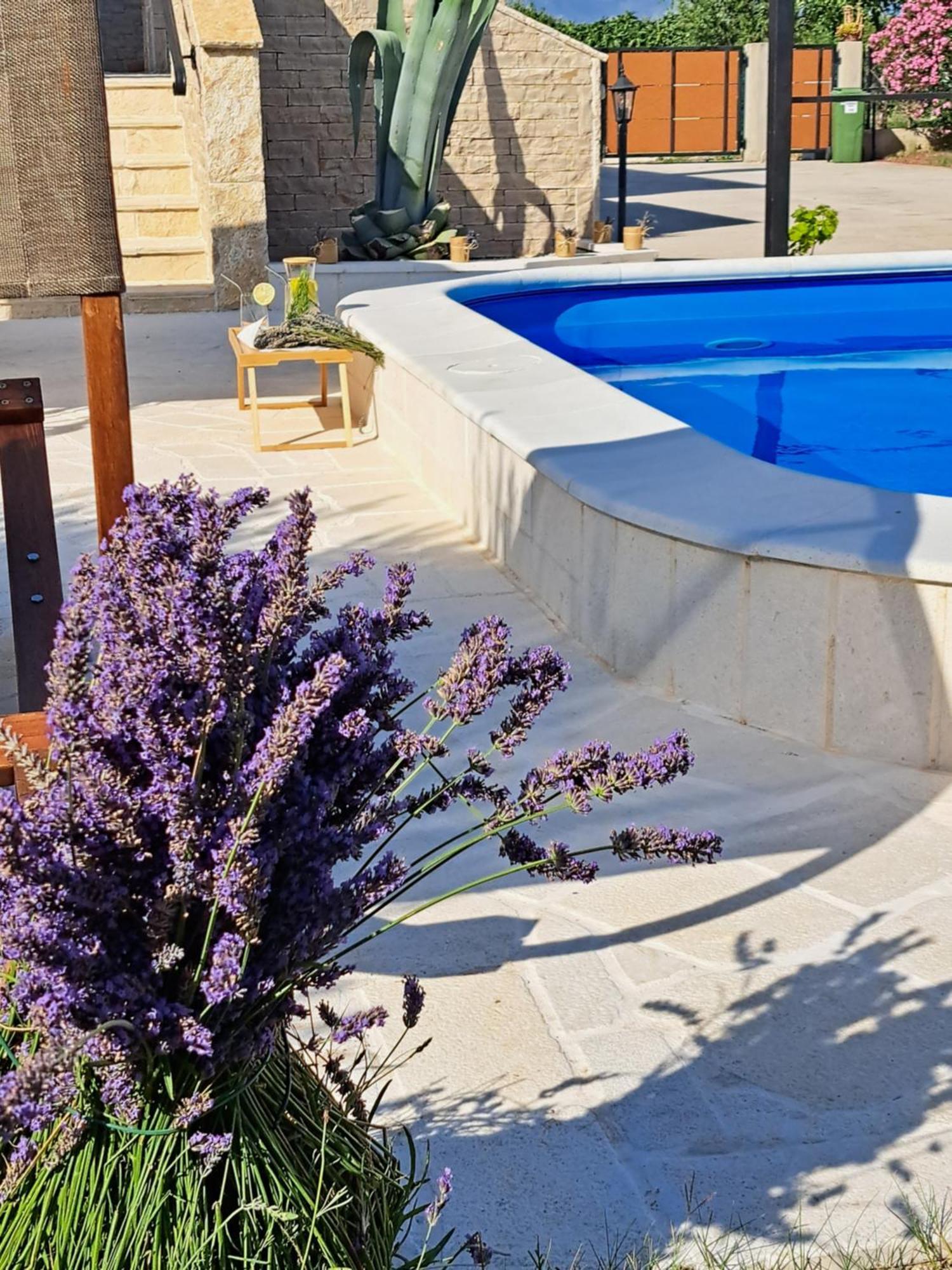 Vila Pan Zadar Ngoại thất bức ảnh